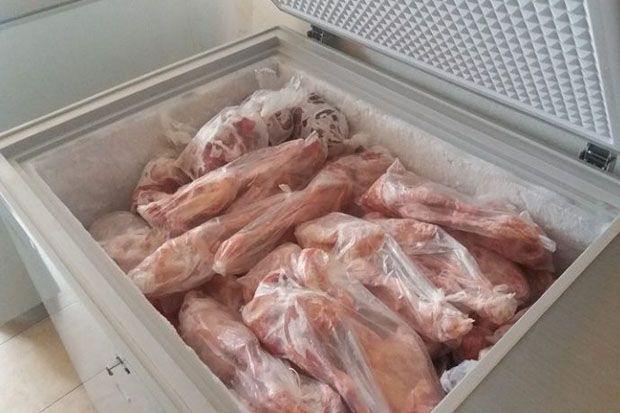 Balai Karantina Pertanian Bakauheni Amankan 1,8 Ton Daging Ayam Tanpa Dokumen