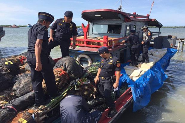 Patroli Laut Bea Cukai Aceh Gagalkan Penyelundupan Bibit dan Pohon Kurma