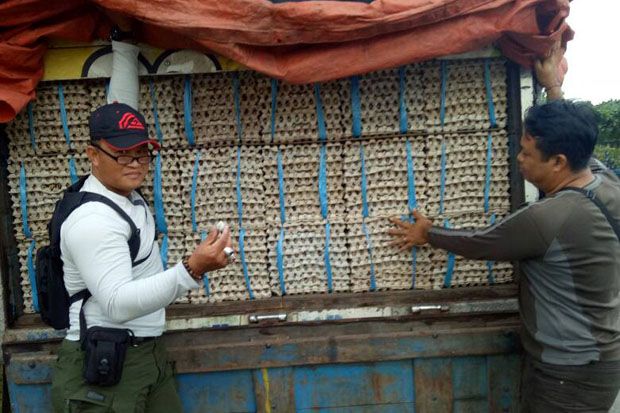 Polisi Sita Ribuan Kilogram Telur Puyuh di Pintu Masuk Bali