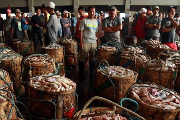 Bantu Nelayan Kecil, Pabrik Pengolahan Ikan Butuh Dukungan Pemerintah