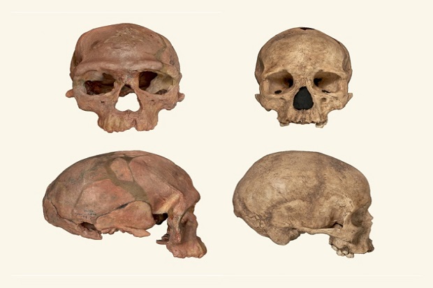 Fosil Manusia 300.000 Tahun Ditemukan di Maroko Picu Spekulasi Nabi Adam