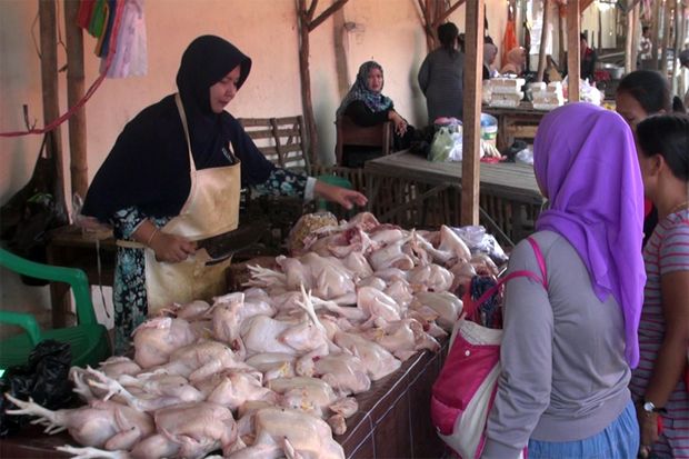 Jelang Idul Fitri, Harga Daging Ayam Potong Naik 30%