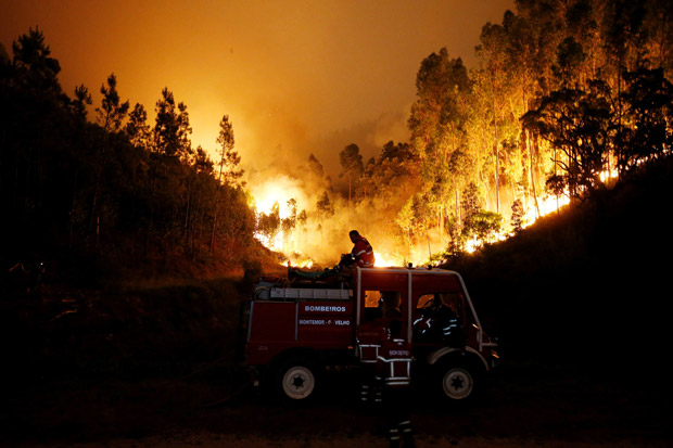 Korban Tewas Kebakaran Hutan di Portugal Bertambah Jadi 25