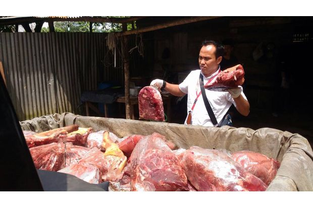 Gerebek Rumah Potong Ilegal, 1,4 Ton Daging Celeng Ditemukan