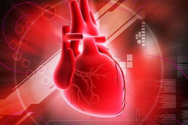 Peneliti Temukan Air Liur Kutu Bisa Obati Peradangan pada Jantung