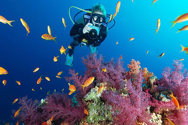 Cara Tepat Memilih Kamera Underwater