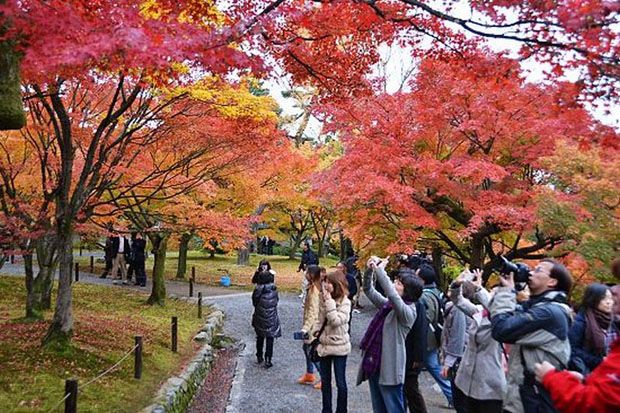 8 Negara Terbaik untuk Merasakan Indahnya Musim Gugur