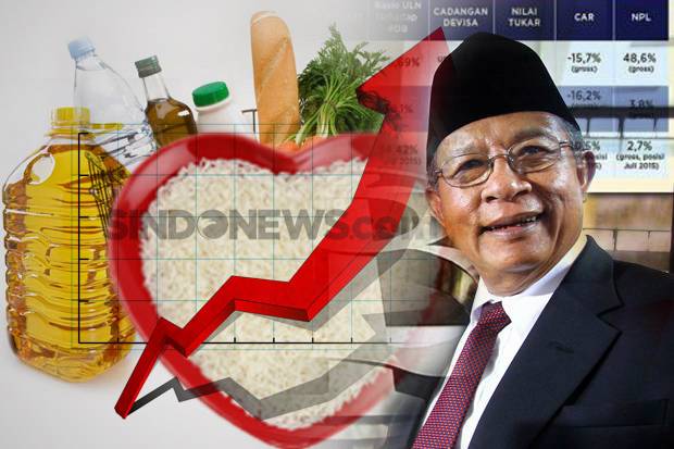 Darmin Jelaskan Pola Inflasi Indonesia di Hadapan Komisi XI DPR