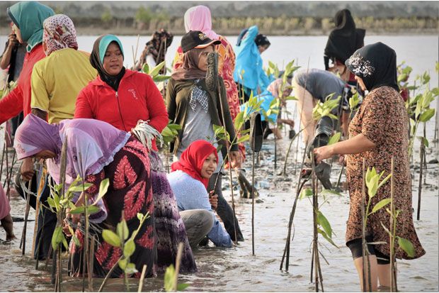 Warga Aceh Besar Tanam 1.000 Mangrove di Pantai Alue Naga