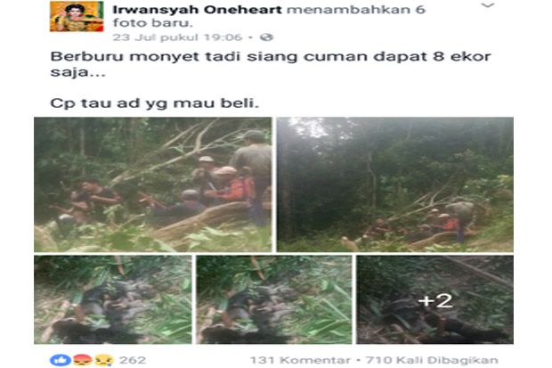 Posting Foto Hasil Berburu Monyet di FB Pria Ini Dapat Kecaman