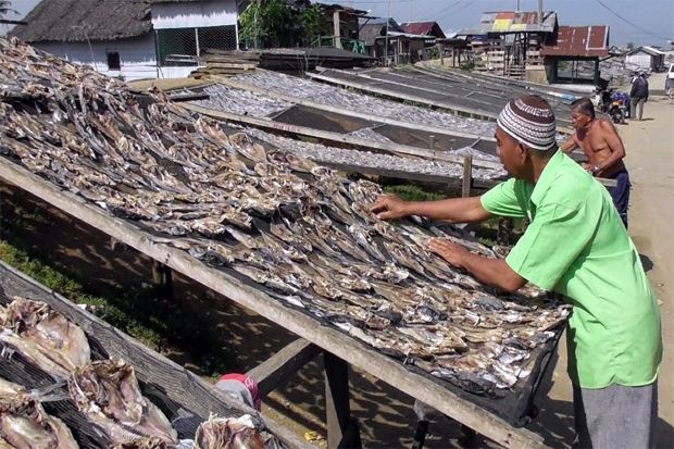 Mahalnya Harga Garam, Produksi Ikan Asin di Belawan Menurun