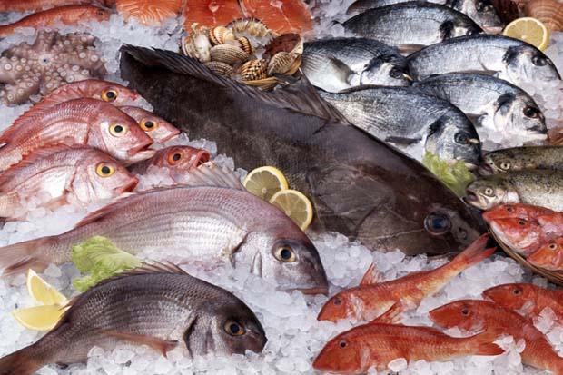 Sulawesi Utara Siap Genjot Produksi Ikan