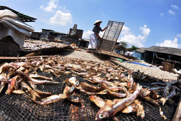 Konsumsi Ikan di Jateng Terendah di Indonesia