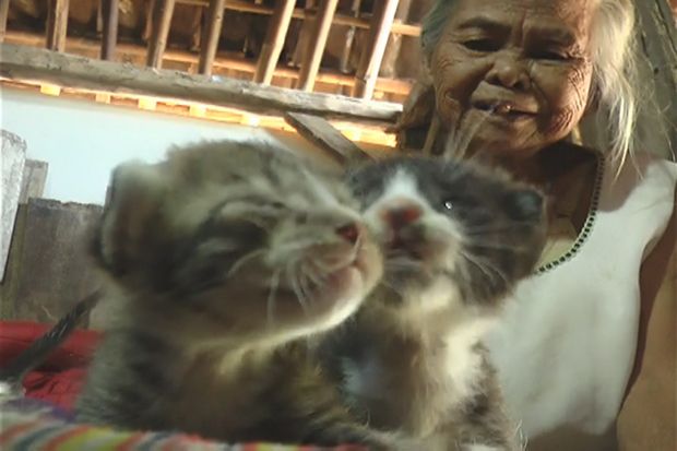 Tak Miliki Anak, Mbah Karsi Hidup Bersama Lima Ekor Kucing