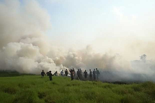 120 Hektare Lahan Gambut Terbakar, Warga Ogan Ilir Mulai Resah