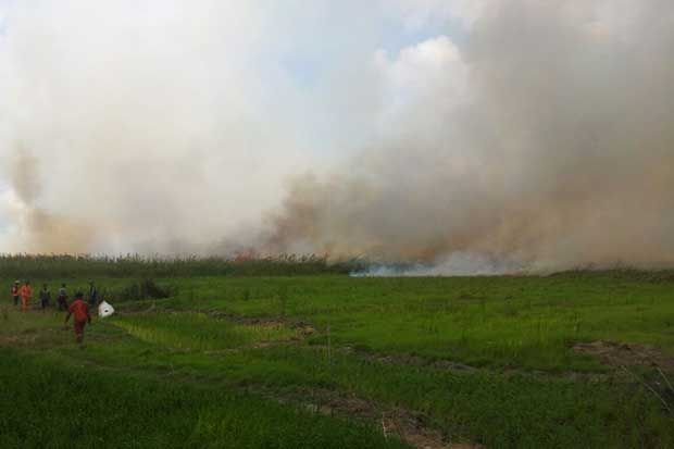 Atasi Kebakaran Hutan dan Lahan, Polda Sumsel Dikucuri Rp2 Miliar