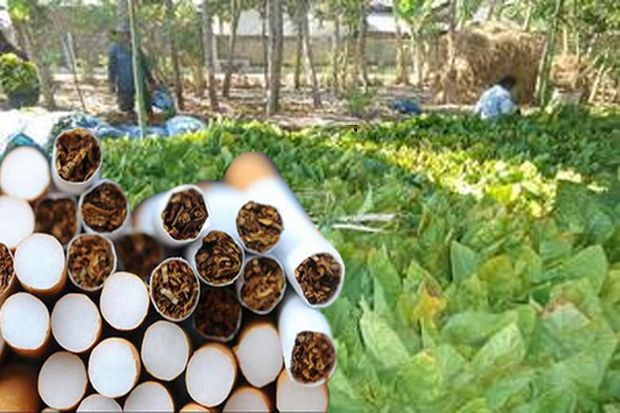 Kekurangan Bahan Baku, Industri Rokok Diramal Jeblok