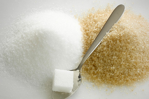 Gula Kayu Solusi Aman Penderita Diabetes