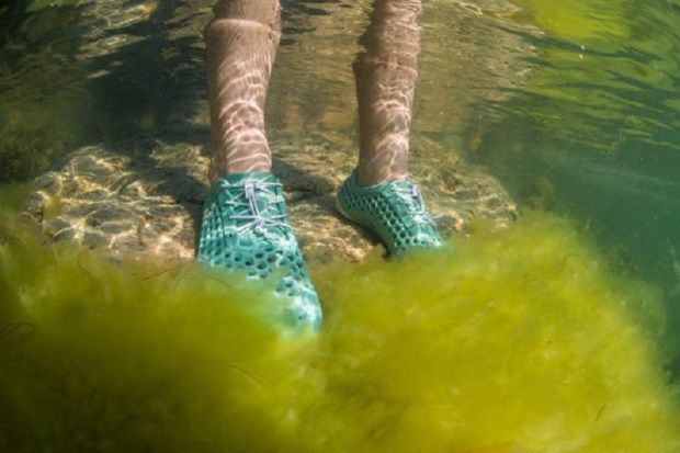 Sepatu Unik Terbuat dari Alga yang Bisa di Air dan Darat