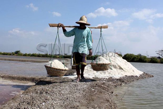 Luhut Kebut Pembangunan Industri Garam di Kupang