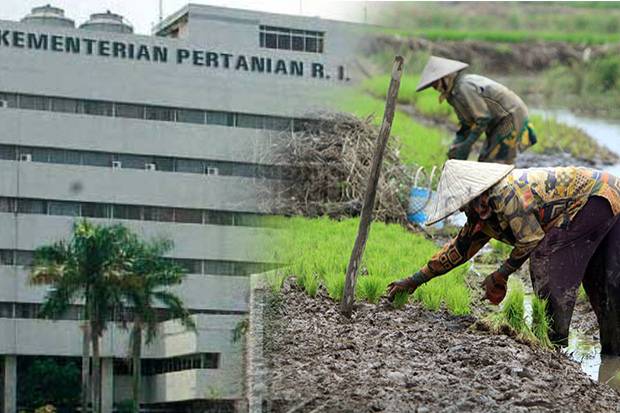 Indonesia Kekurangan 28.000 Penyuluh Pertanian