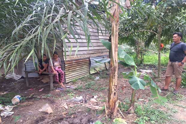 Diusir dan Disiksa Suami, Nenek dan Cucu Telantar di Gubuk Kebun Sawit