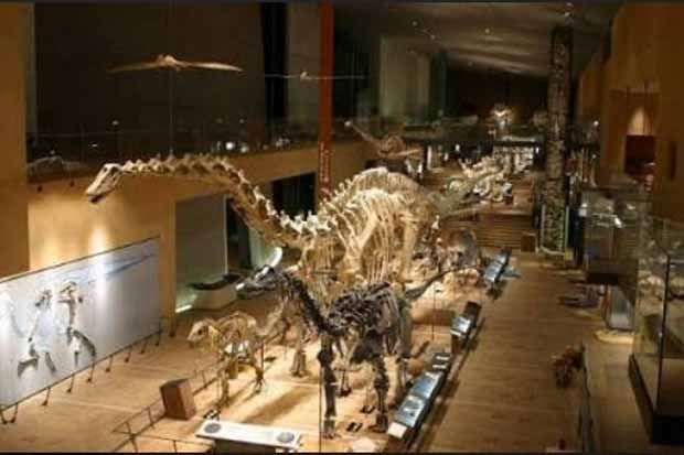 Yuk! Ajak Liburan Si Kecil ke Museum Dinosaurus Jepang