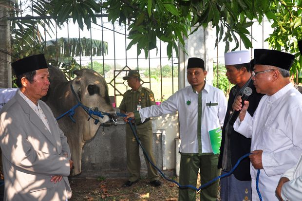 Wagub Jateng Serahkan Sapi Keluarga Presiden Jokowi di MAJT