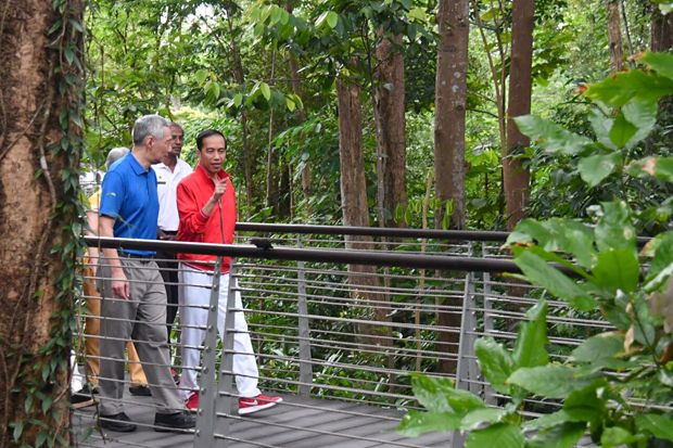Gaya Santai Jokowi dan PM Lee di Singapore Botanic Gardens