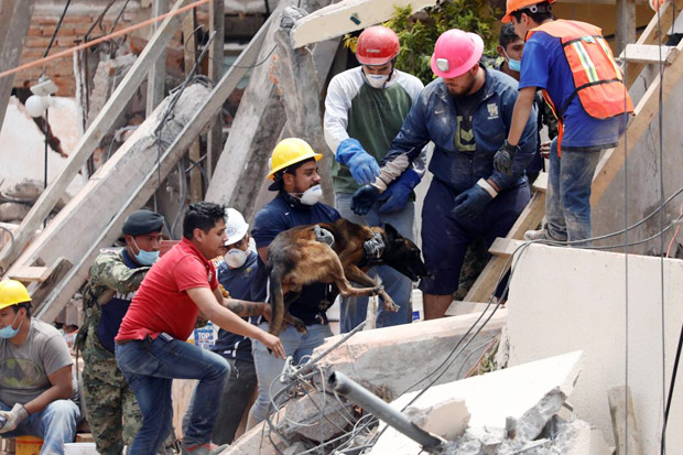Meksiko Pusatkan Pencarian Korban Gempa di 10 Bangunan, 273 Tewas