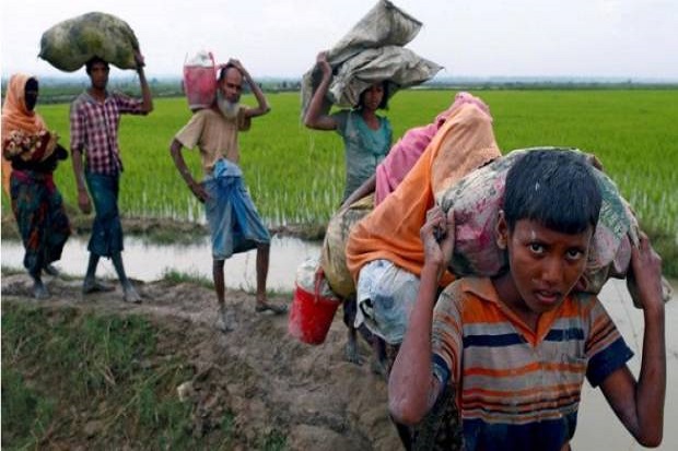 Cegah Etnis Rohingya Masuk, India Gunakan Granat Cabai