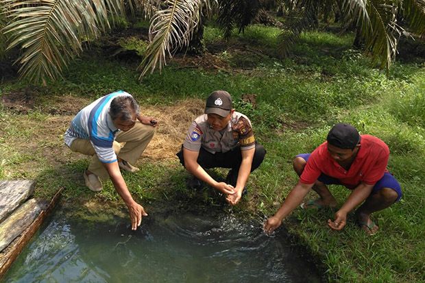Warga Muaro Jambi Temukan Sumber Air Panas di Perkebunan Sawit