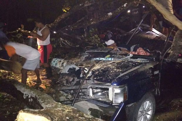 Mobil Tertimpa Pohon, Dua Orang Tewas di Blora