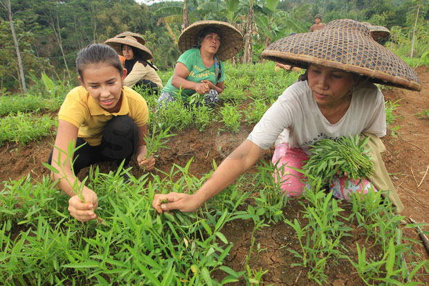 Miss Indonesia Achintya Nilsen Ajak Para Ibu Bertanam Sayur
