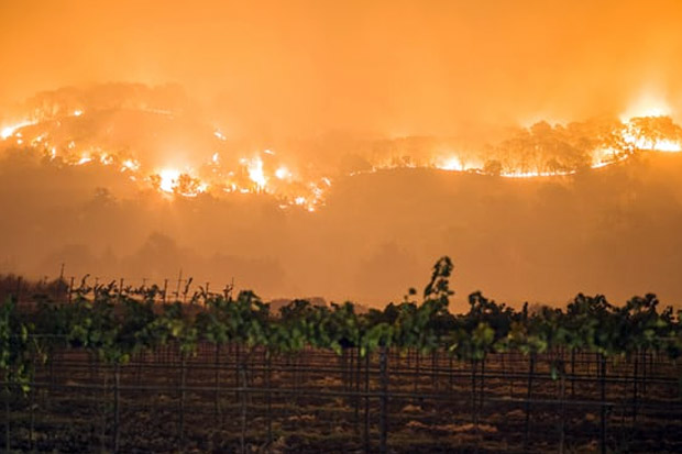 Kebakaran Hebat Landa Hutan California, 21 Tewas