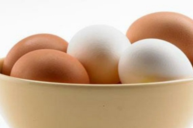Sehat Mana, Telur Coklat atau Telur Putih?