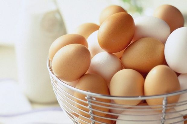 Inggris Berhasil Buat Temuan Telur Bebas Bakteri Salmonella