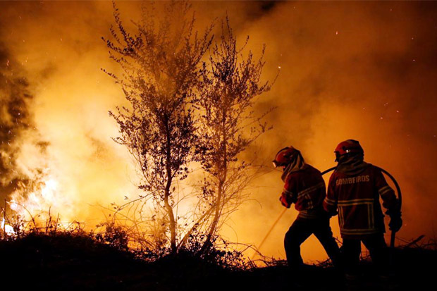 Kebakaran Hutan Tewaskan 39 Orang di Portugal dan Spanyol
