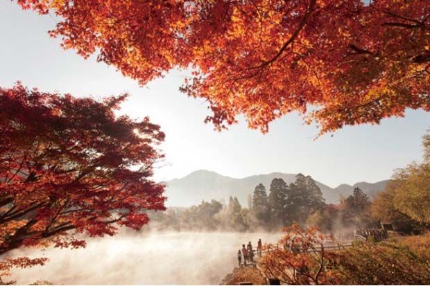 4 Tempat Cocok untuk Menikmati Musim Gugur di Jepang