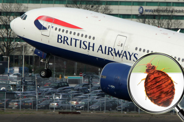 Penumpang Diserang Kutu Busuk, British Airways Minta Maaf