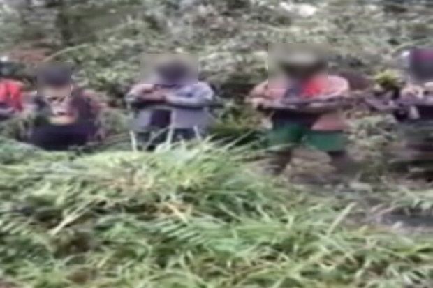 Kelompok Bersenjata Ini Mengklaim Tembaki Brimob di Tembagapura Papua