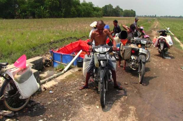 Kekeringan, Puluhan Warga Cari Air ke Sawah