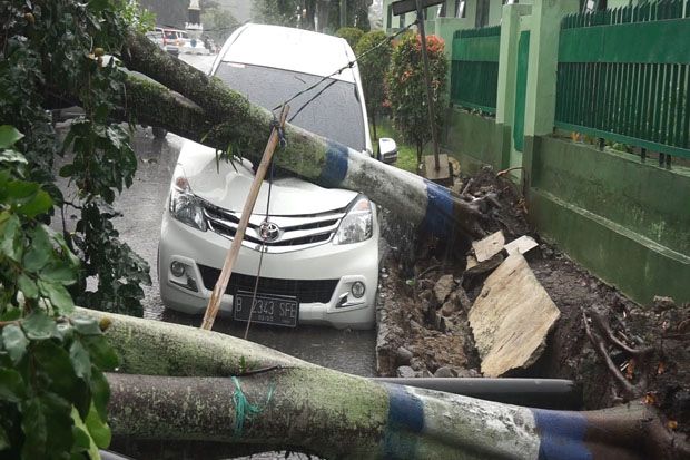 1 Mobil Rusak Tertimpa Pohon Akibat Angin Kencang di Banjarnegara