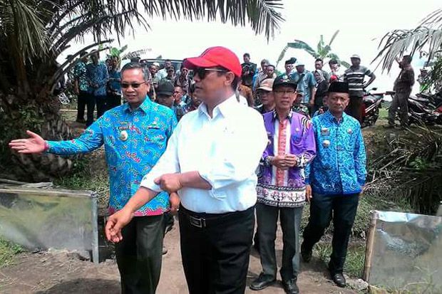 Mentan Panen Raya Padi di Lampung Timur