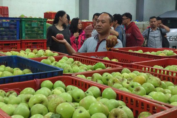 Cetak UKM Tangguh di Bawah Binaan Bank BCA