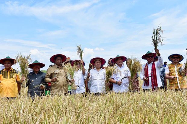 Panen Raya, Novanto Jamin Pertanian Jadi Prioritas Pembangunan