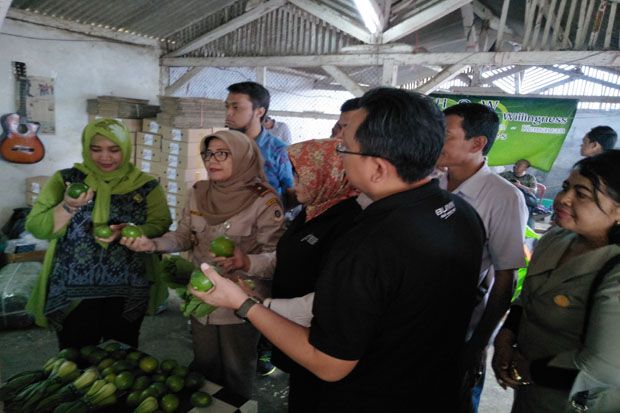 Balai Karantina Pantau Sayuran Ekspor di Lembang