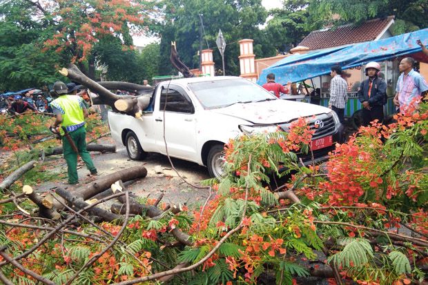 Hujan Lebat, Mobil Dinas DPRD Karawang Tertimpa Pohon Tumbang