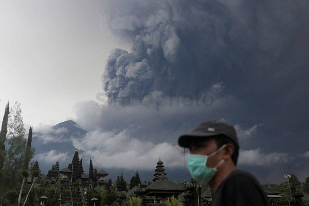 PVMBG: Dampak Abu Vulkanik Membuat Tanaman Langsung Hangus