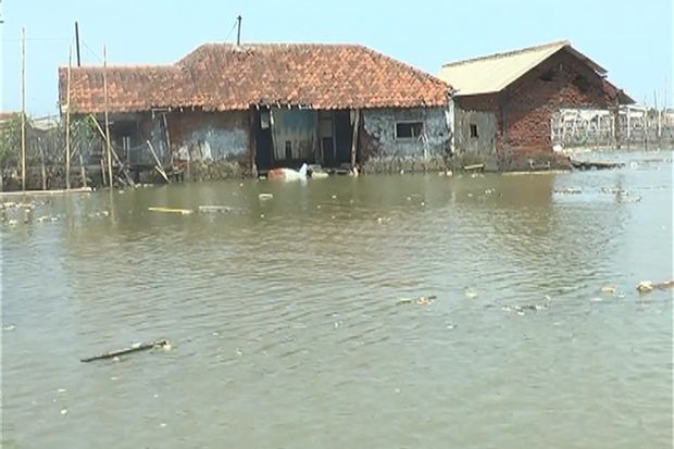 Detik-Detik Gelombang Laut Terjang Permukiman di Pesisir Semarang